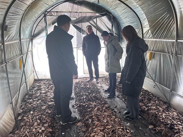 2e4b77343371d2f7a703f699b54849f